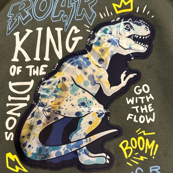 Dinosaur two piece jogging suit - Picture 4 of 6